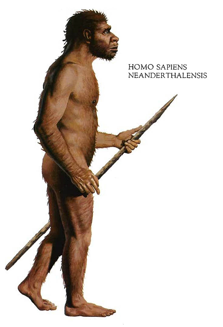 neanderthal7.jpg